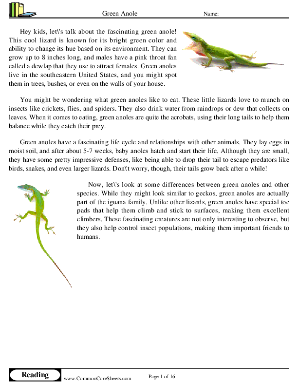  - green-anole worksheet