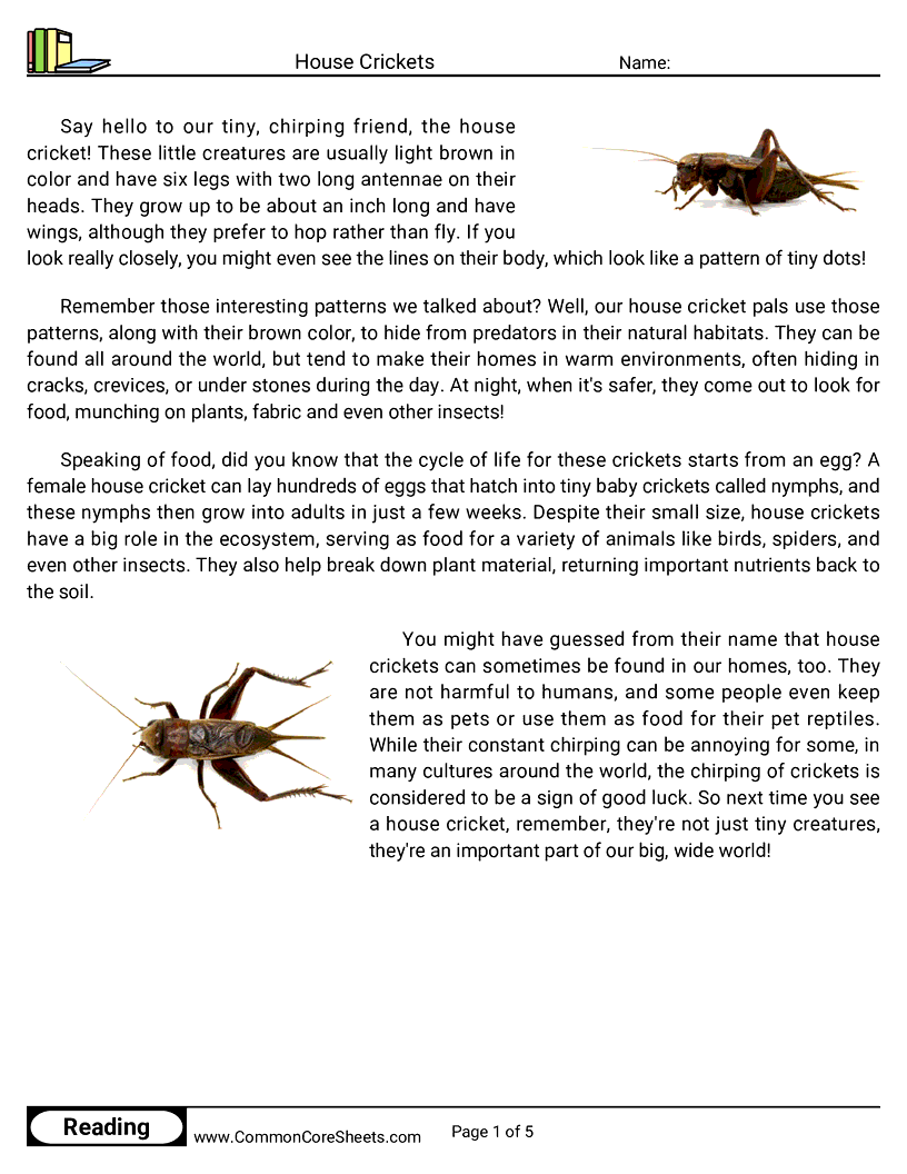 Reading Comprehension Insects Worksheets - house-crickets worksheet
