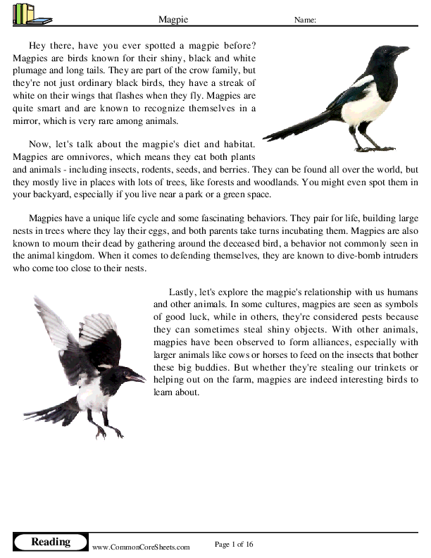  - magpie worksheet