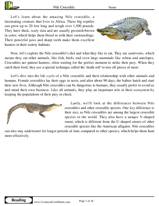  - nile-crocodile worksheet