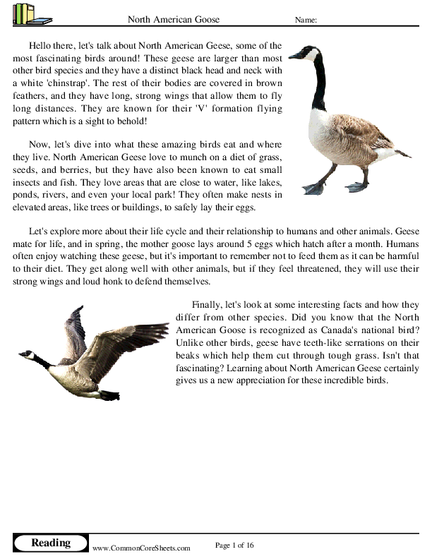  - north-american-goose worksheet