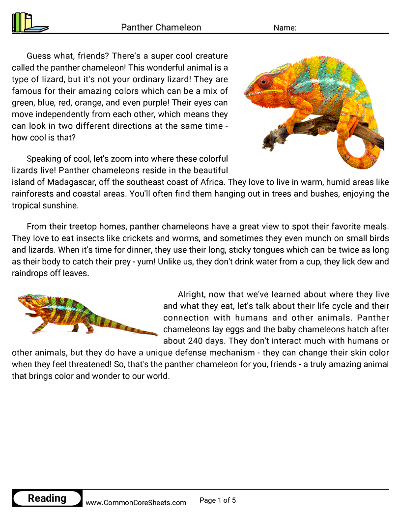Reading Comprehension Reptiles - panther-chameleon worksheet