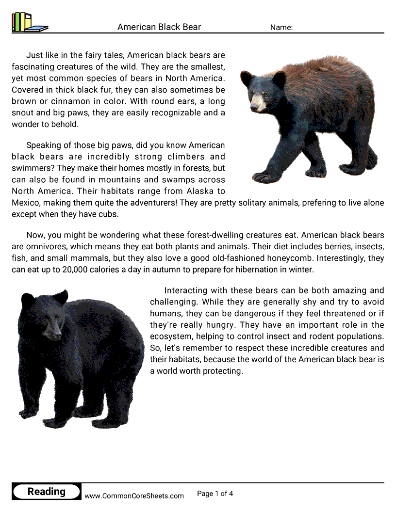 Reading Comprehension Mammals - american-black-bear worksheet