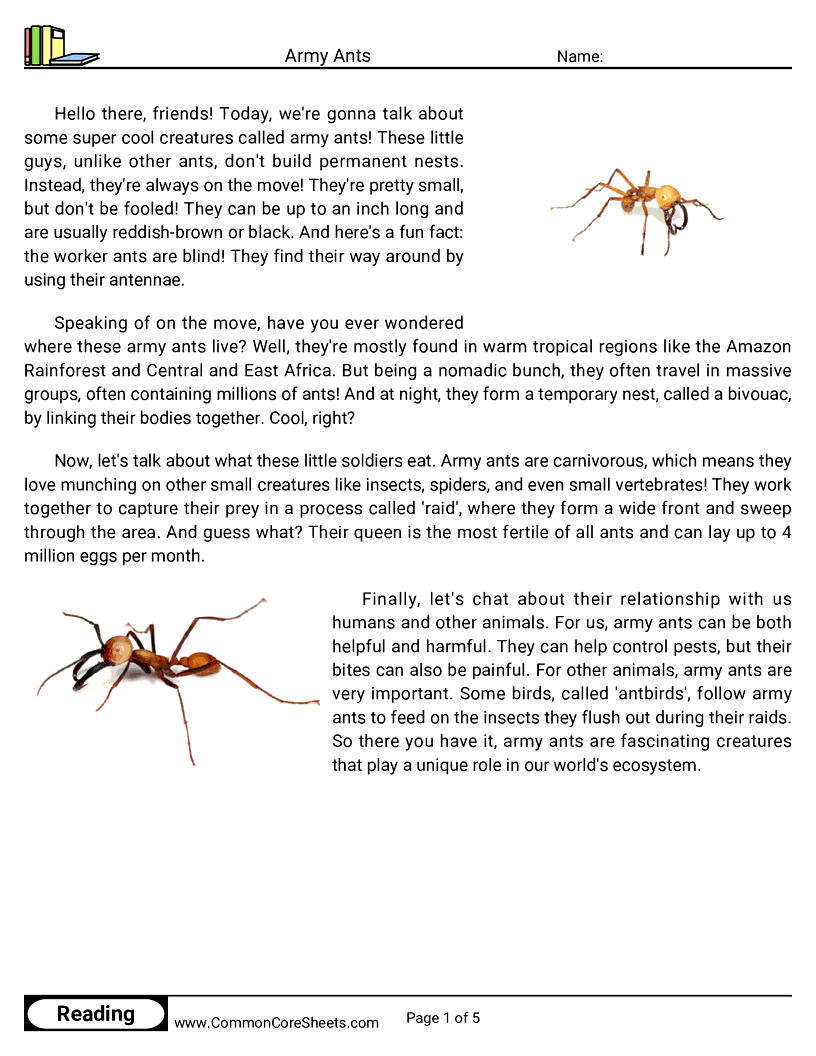 Reading Comprehension Insects Worksheets - army-ants worksheet