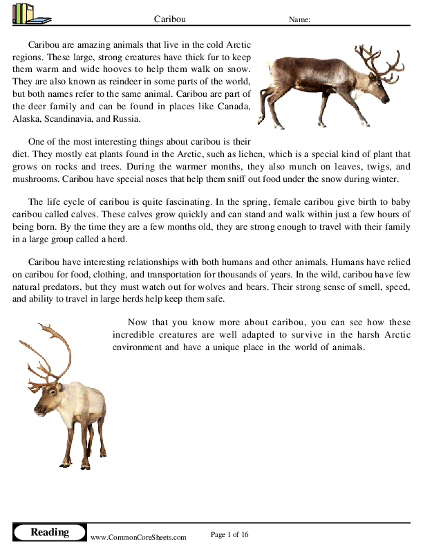  - caribou worksheet