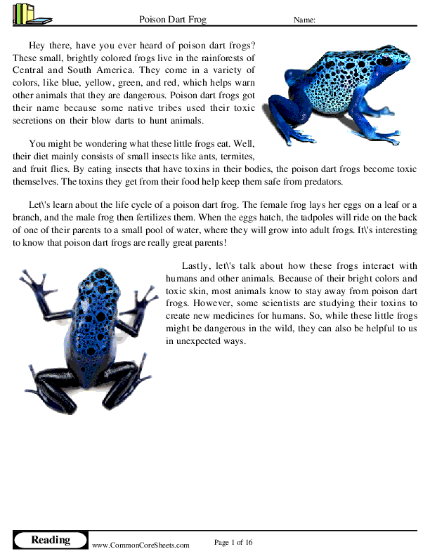  - poison-dart-frog worksheet