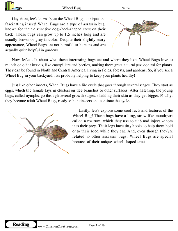  - wheel-bug worksheet